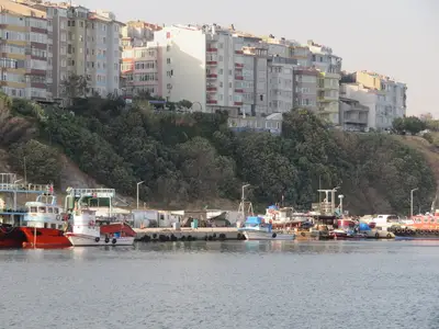 BANDIRMA BELEDİYESİ KÖPEK BARINAĞI