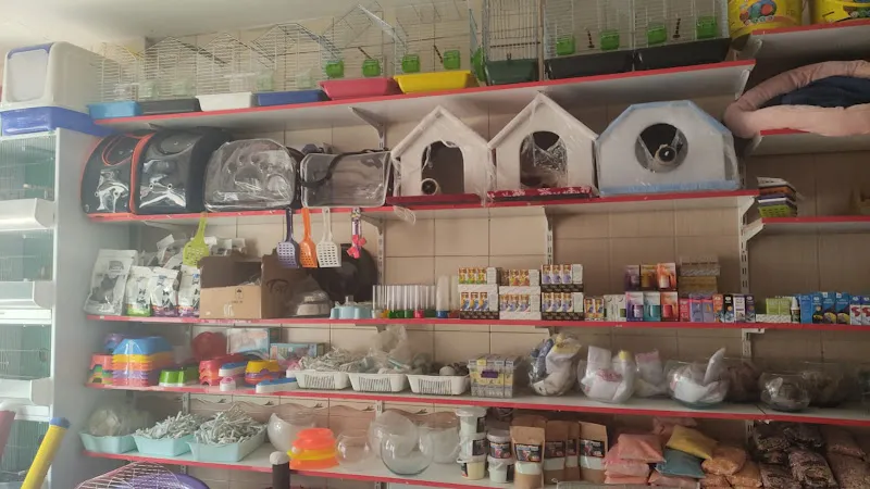 Elbistan Saraykent Pet Market foto 2
