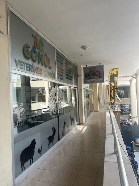 Gönül Veteriner KLİNİĞİ foto 2