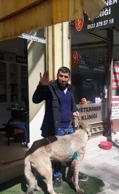 Veteriner Hekim Servet Coşkun