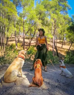 Antalya Köpek Eğitmeni /Nagehan Pazar fotoğrafı