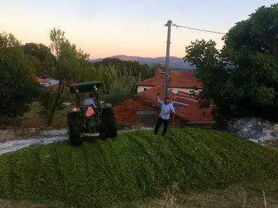 Aydın Kardeşler Süt ve Besi