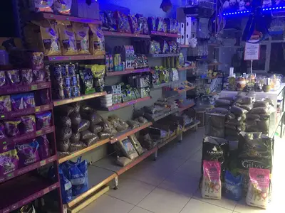 Maviş Pet House