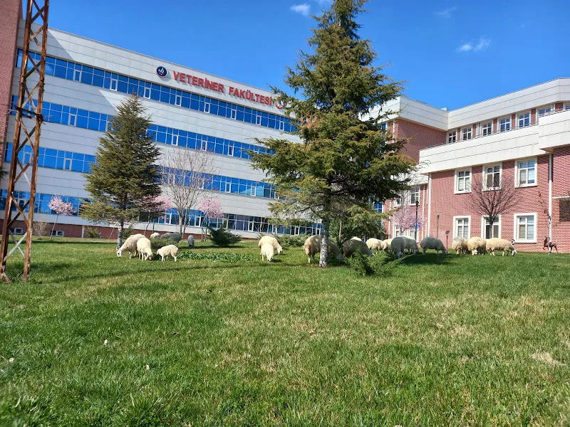 Köpek eğitim birimi foto 1