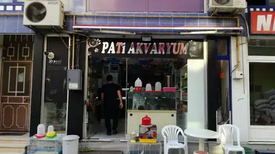 Pati Dünyası Ordu