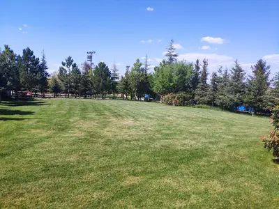 Kişmiroğlu Hayvancılık ve Tarım fotoğrafı