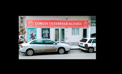 ÇORUM VETERİNER KLİNİĞİ