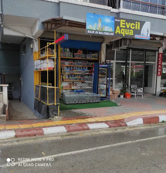 Altinözü evcil akvaryum foto 1