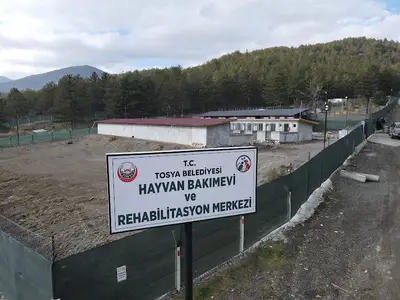 Tosya Belediyesi Sokak Hayvanları Bakım Ve Rehabilitasyon Merkezi