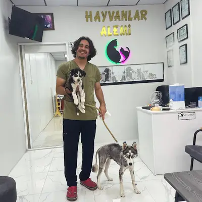 Akyazı Belediyesi Veteriner Hizmetleri Md.lüğü
