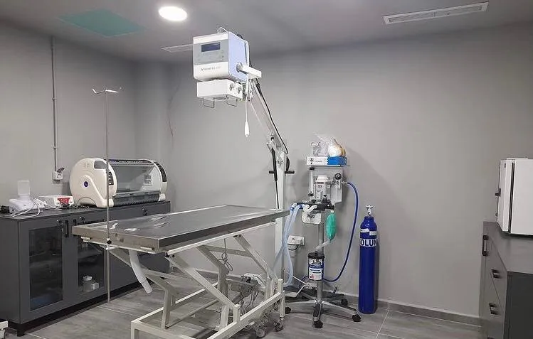 Bahçeşehir Vetlounge Veteriner Kliniği foto 2