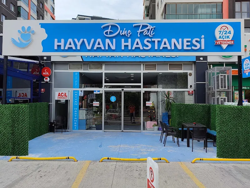 Dinç Pati Hayvan Hastanesi foto 1
