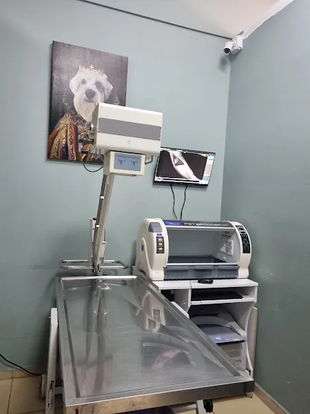 Özel Etimesgut Veteriner Kliniği (7/24 Acil Servis) foto 2
