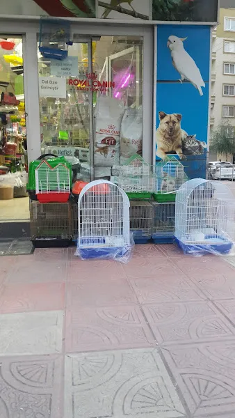 Ayaz Petshop foto 2
