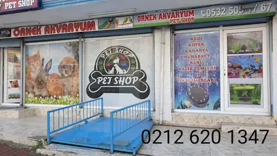 Örnek Akvaryum Pet Shop