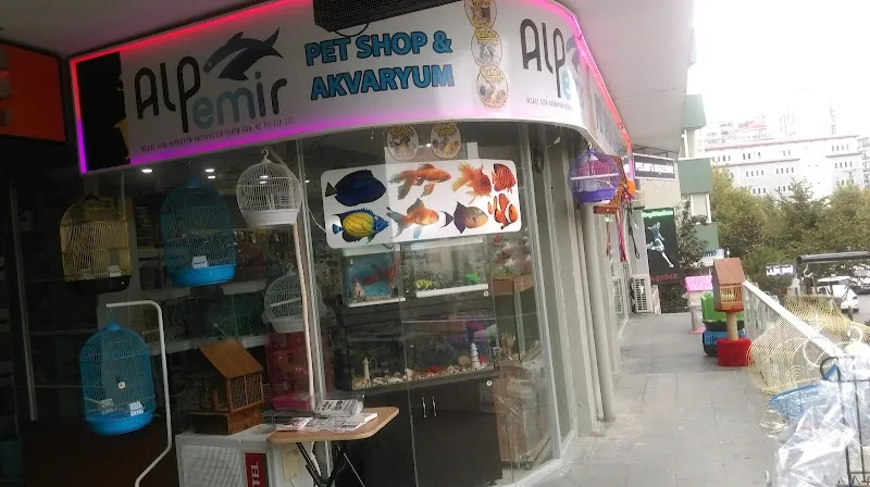 Alpemir Pet Shop Akvaryum foto 2