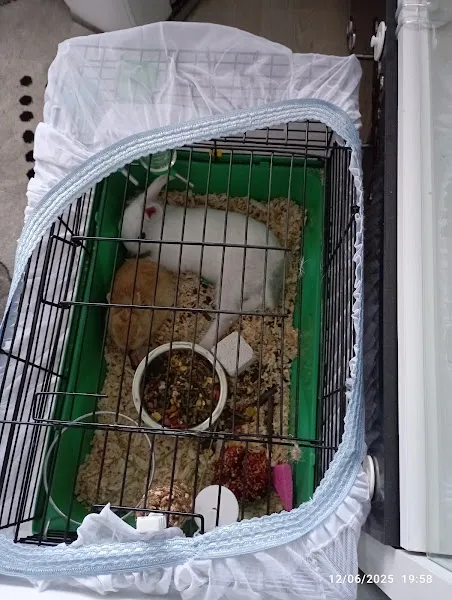 EFE PETSHOP foto 2