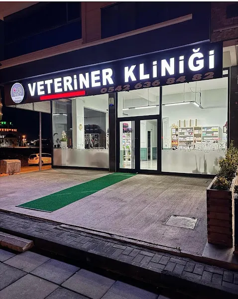 Sincan Yenikent Neo Vita Veteriner Kliniği foto 2