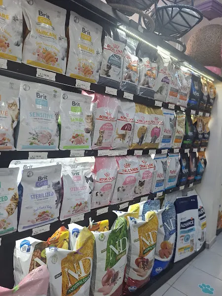 BİG PET SHOP foto 2