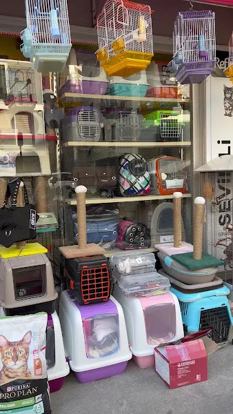 Sevimli Petshop foto 2