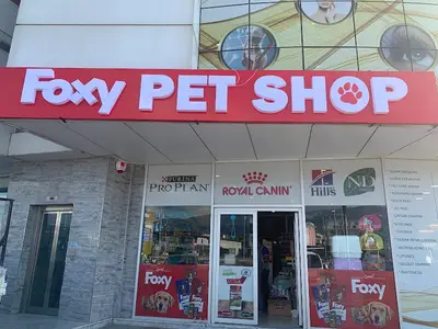 Foxy Pet Shop Akçay