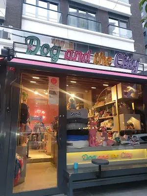 Dog and the City