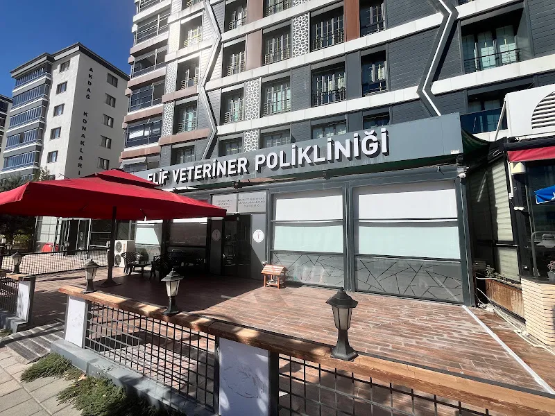 ELİF VETERİNER POLİKLİNİĞi foto 1