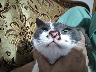 Öztürk Veteriner Kliniği