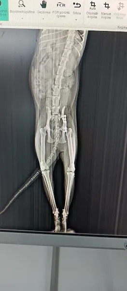 Öztürk Veteriner Kliniği foto 2
