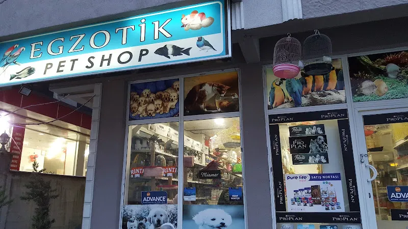 HGPETSHOP foto 2