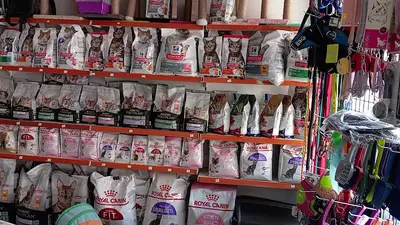 Kaya Pet Shop