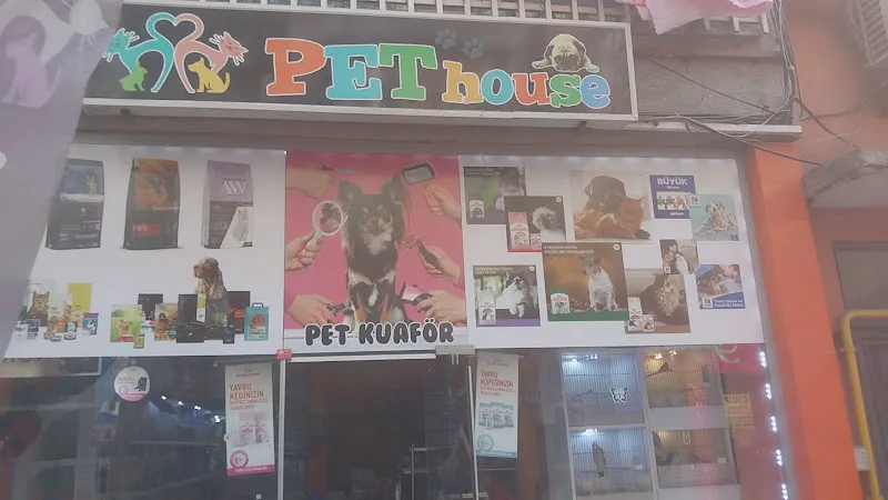 samsun pethouse petshop samsun akvaryum foto 2
