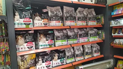 Tayfun Pet fotoğrafı