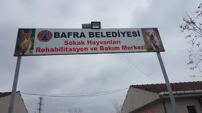 Bafra Belediyesi Hayvan Barınağı