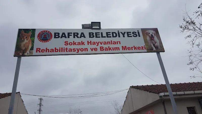 Bafra Belediyesi Hayvan Barınağı foto 1