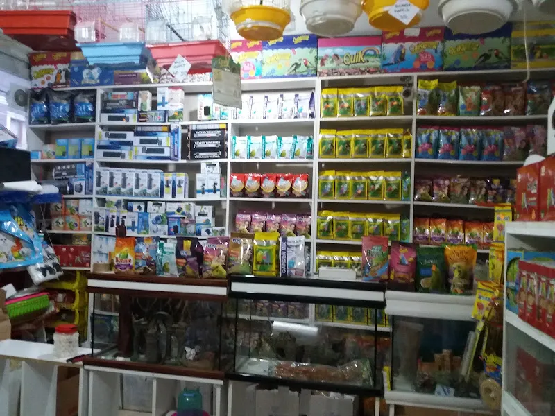 MİNİK DOSTLARIM PETSHOP foto 2