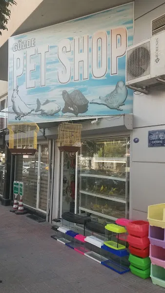 Gözde petshop foto 2