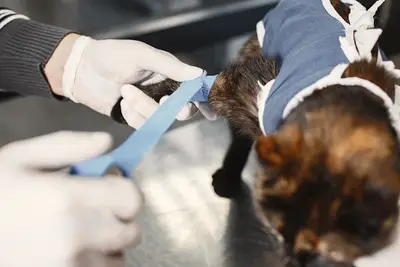 Balatçık Veteriner Kliniği