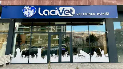 Lacivet Veteriner Kliniği