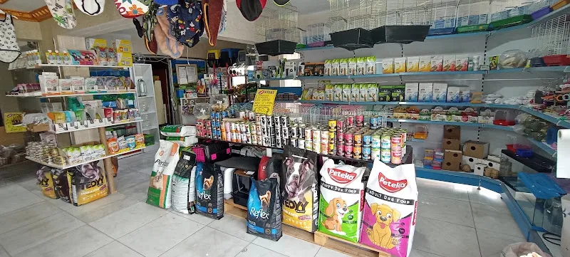 Timbil Petshop foto 2