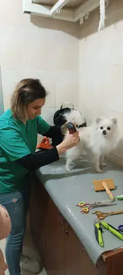 pax pati pet kuaför