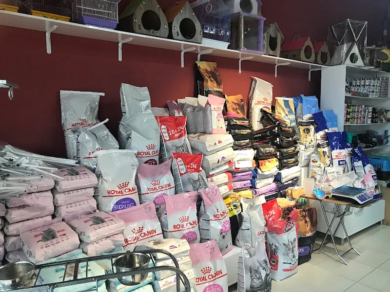 Amazonpetshop foto 2