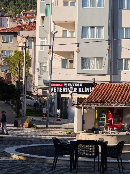 Menteşe Veteriner Kliniği foto 1