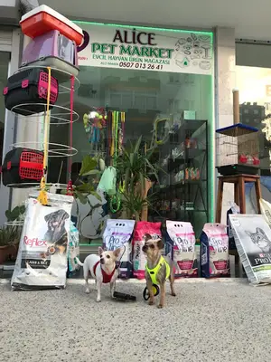 Alice Pet Market