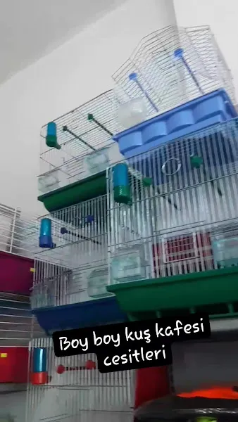 Petim Petshop foto 2
