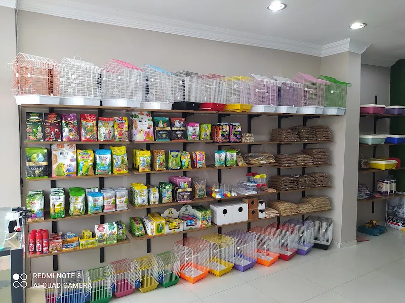 zeyna petshop 2 foto 2