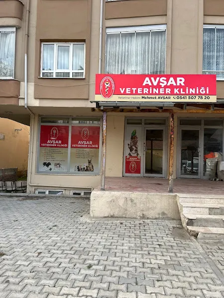 Avşar Veteriner Kliniği foto 2