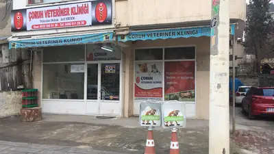 ÇORUH VETERİNER KLİNİĞİ