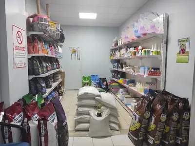 Ekip Veteriner Kliniği