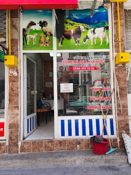 Gökırmak Veteriner Kliniği foto 2